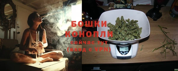бошки Бородино