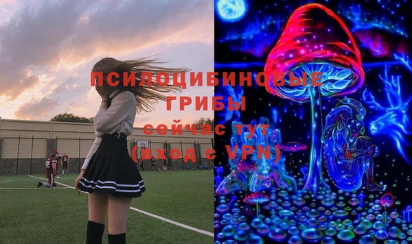 бошки Бородино
