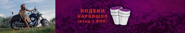 бошки Бородино