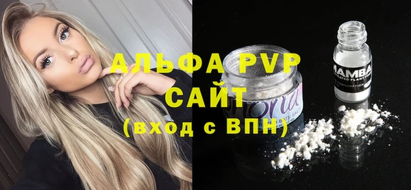 стаф Бугульма