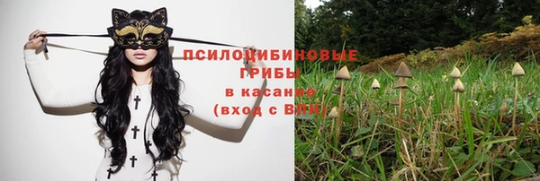 не бодяженный Бронницы