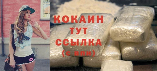 бошки Бородино